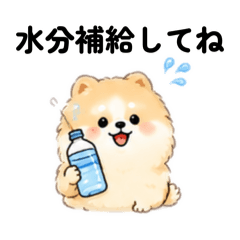 mana_20260804230021