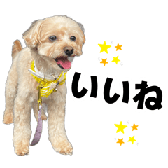 Chisato_20260804232358