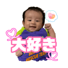 koara_20260804233421