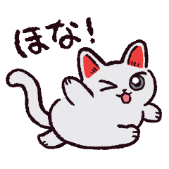 KANSAIBEN cat!
