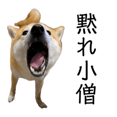 Risa_20260804231315