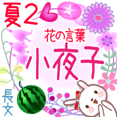 小夜子の花の言葉▲夏2●長文