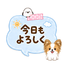 Cute Memo Papillon and Shimaenaga