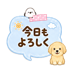 Memo Golden Retriever and Shimaenaga