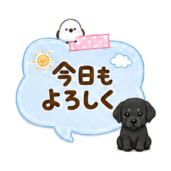 Memo Labrador Retriever and Shimaenaga
