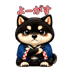 Edokko Black Shiba: Chic Catchphrases