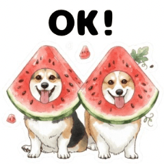 Friendly Corgi: Summer Edition