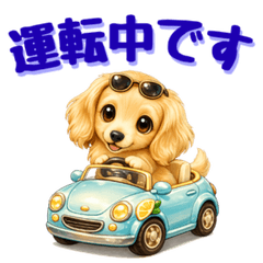 It's Summer! Dachshund Message Book