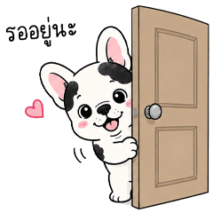 เฟรนช์บูลด็อก ขาวดำ