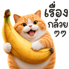 แมวส้ม อิอิ4