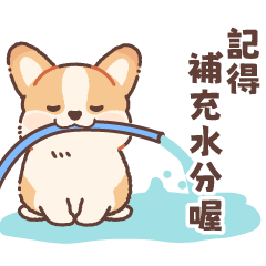 柯基寶寶 夏日全螢幕貼圖