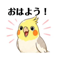 Purin_20260805125127