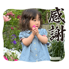 risa_20260805133114