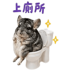 小琦的幸福小天地48