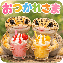 leopard gecko np