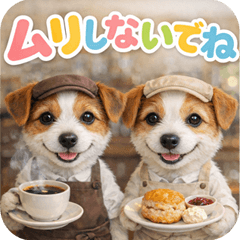 Jack Russell Terrier np