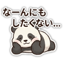 rinko_20260805160115