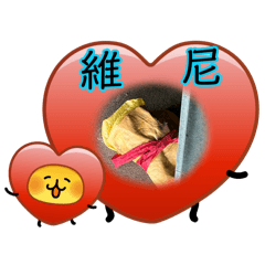 鼎哲專屬