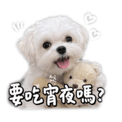 馬爾濟斯～噗8
