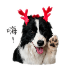邊境說哈囉