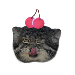魔力猻