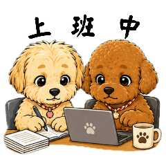 毛寶貝日常上班