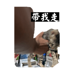 くろ黒2