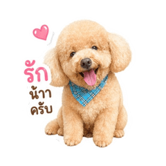 Kung fuu_20260606092724