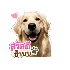 Mr. Sticker official_20260606113452