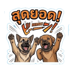 SPN01_20260606112508