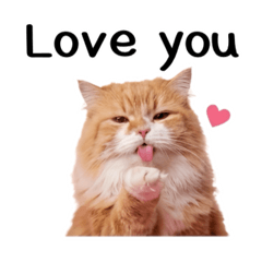 Pikung luv U