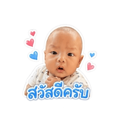 TreeO_20260606142506
