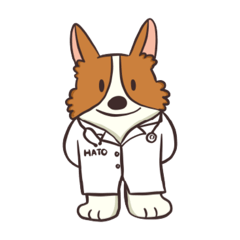 HATO PET WELLNESS CENTER V.1
