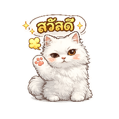Fluffy Mood Cat | แมว