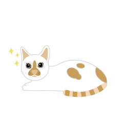 Sisu the dream cat