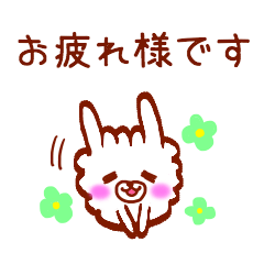 Can use everyday !! alpacaaako!