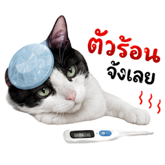 Sick Cat Club : 1% Battery Left