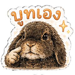 Bunny Boot V.1