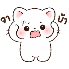 meowchobi 2 <3