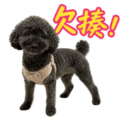 Cute_Oreo