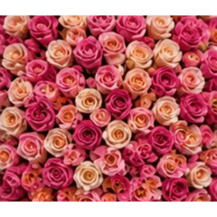 Ultra Dense Series Stickers 3-flowers