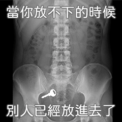 Sticker Collage(X-ray Scenario)