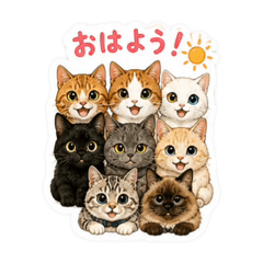achomaro_20260805172035