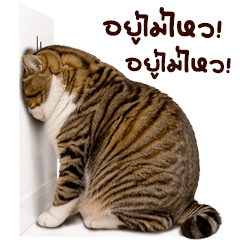 เหมียวอ้วนจอมป่วน 01 บิ๊ก