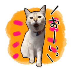 Tetsu&Konome Sticker