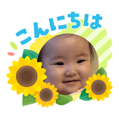 MIKO_20260805204209