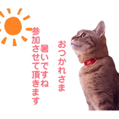 bibi&moca_20260805203407