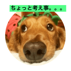 porosutanpurin