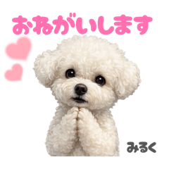 DOG STAMP ORDER_20260806113014