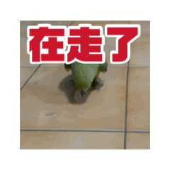 CHLBBC_20260805013719